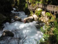 Albums/20060200-New Zealand 2006/20060210-Te Anau to Milford/28